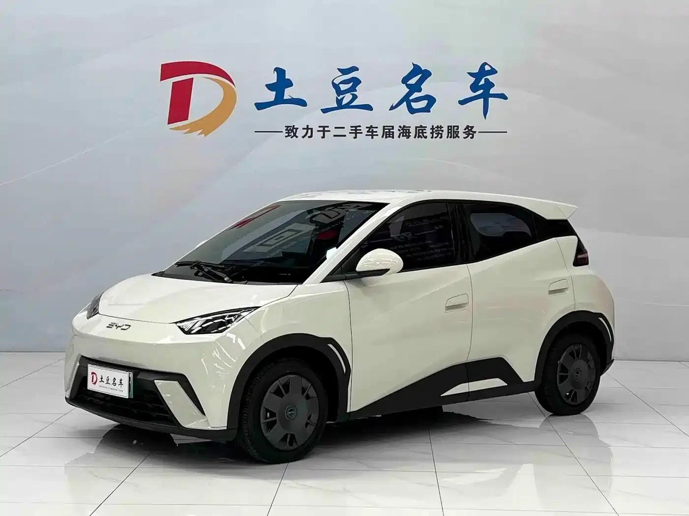 Seagull 2025 305km/h Dynamic Edition — миниатюра 1