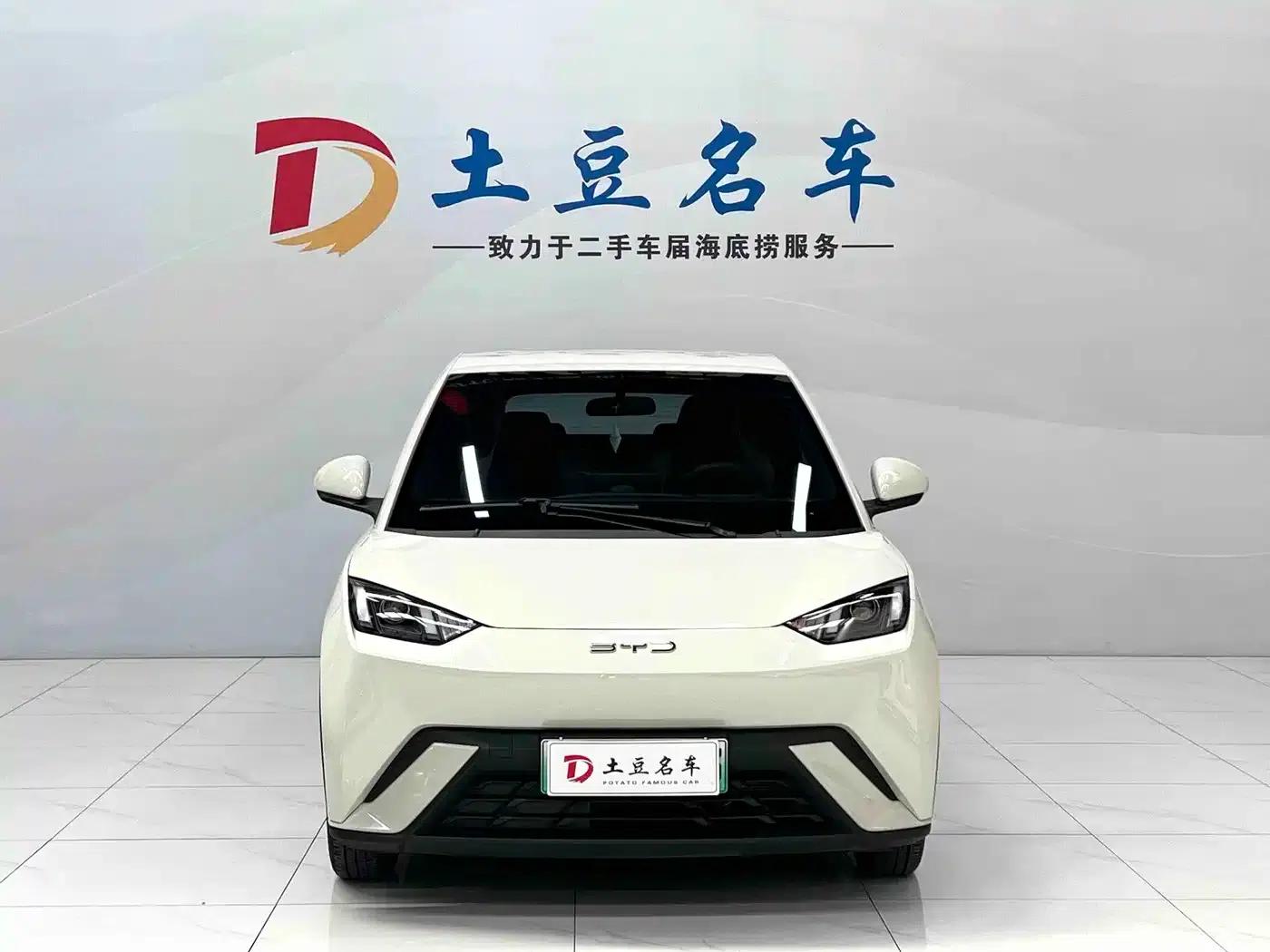 Seagull 2025 305km/h Dynamic Edition — миниатюра 2