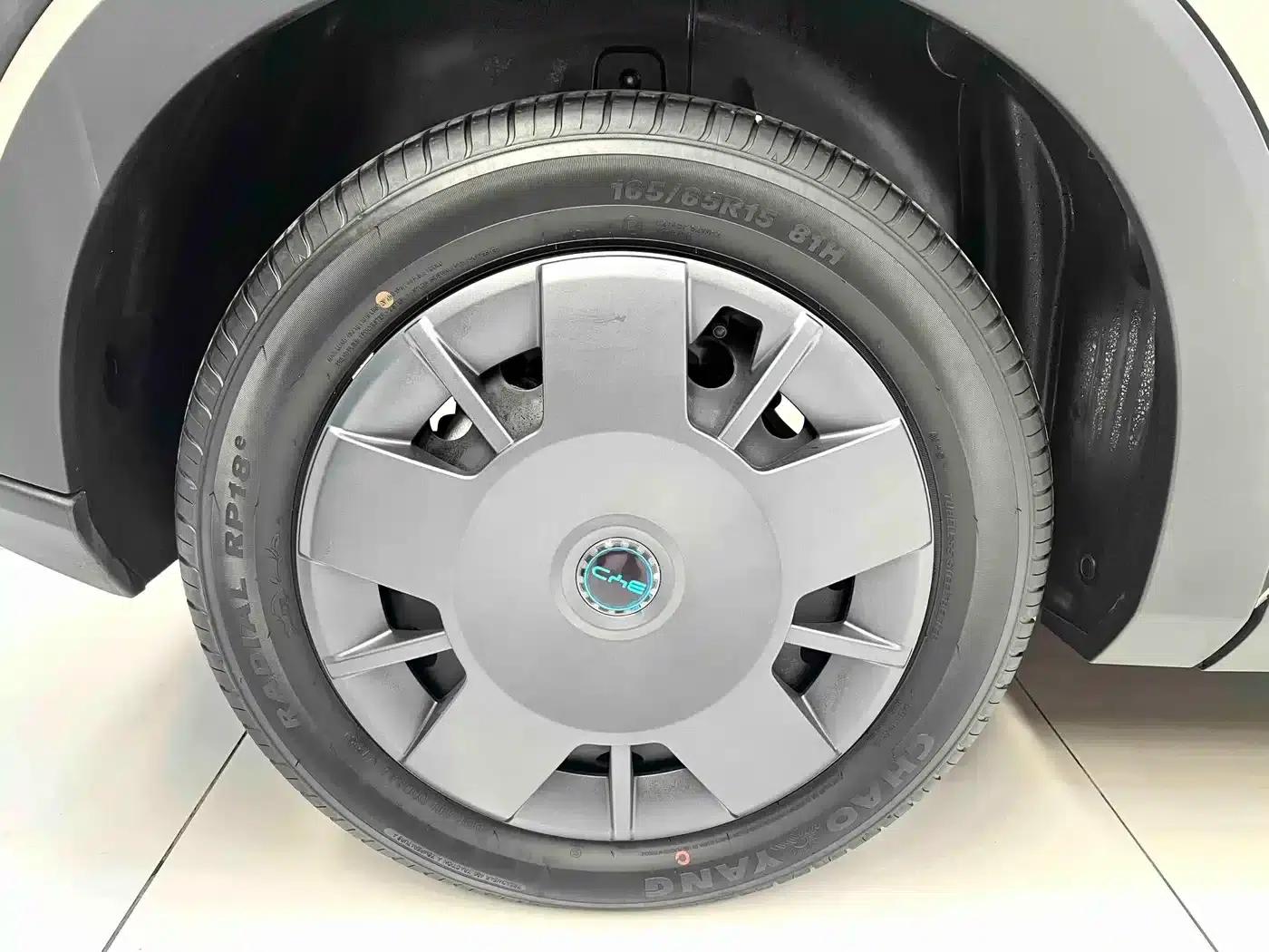 Seagull 2025 305km/h Dynamic Edition — миниатюра 11