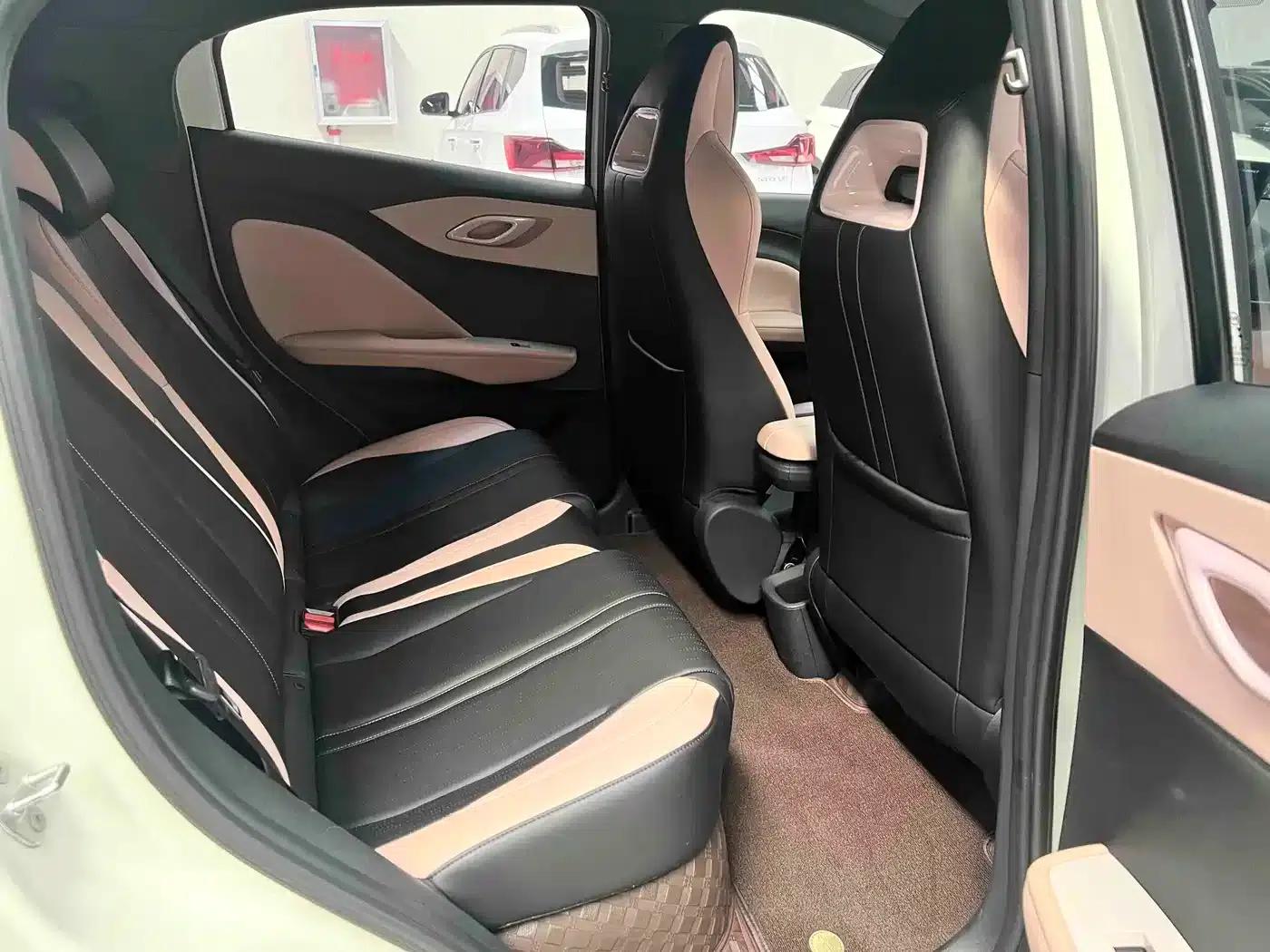 Seagull 2025 305km/h Dynamic Edition — миниатюра 13