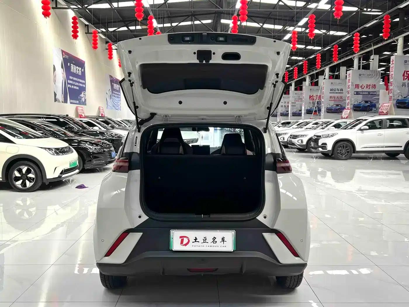 Seagull 2025 305km/h Dynamic Edition — миниатюра 15