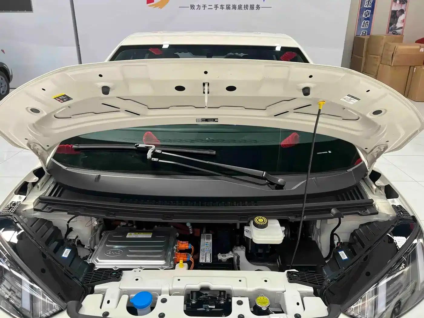 Seagull 2025 305km/h Dynamic Edition — миниатюра 16