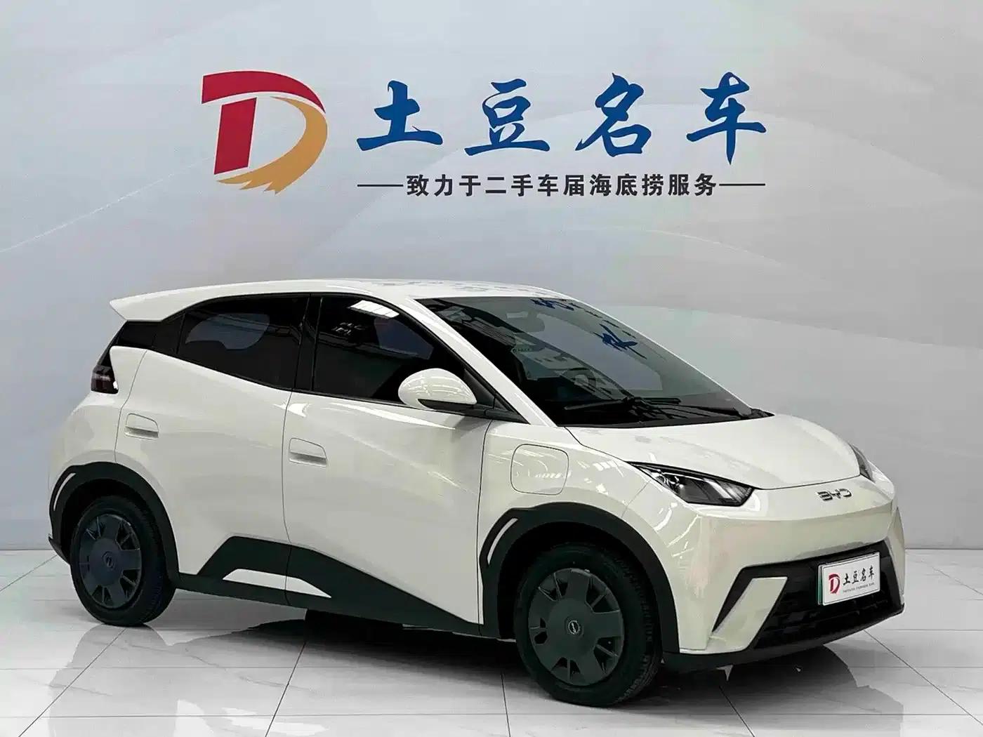Seagull 2025 305km/h Dynamic Edition — миниатюра 3