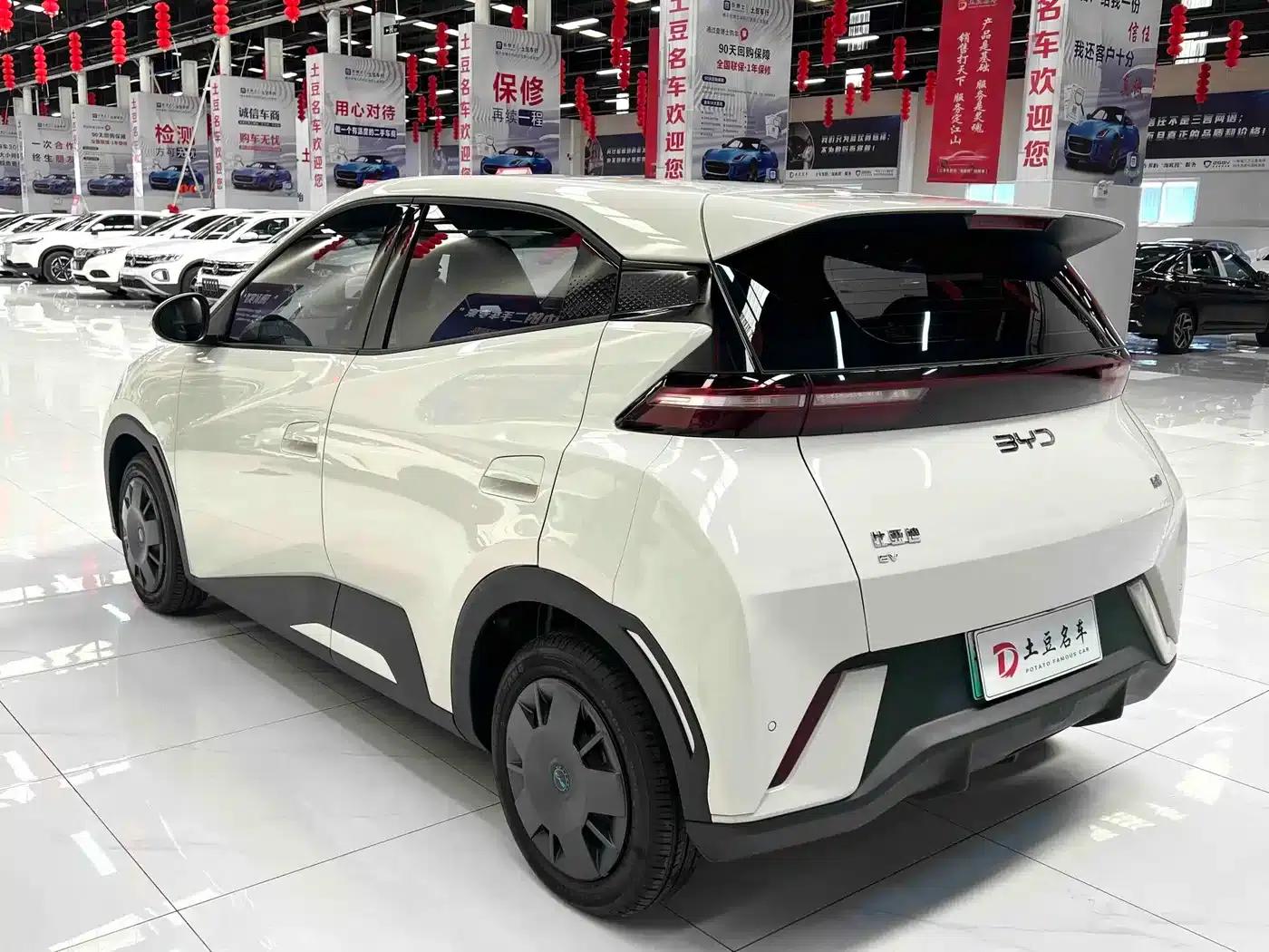 Seagull 2025 305km/h Dynamic Edition — миниатюра 4