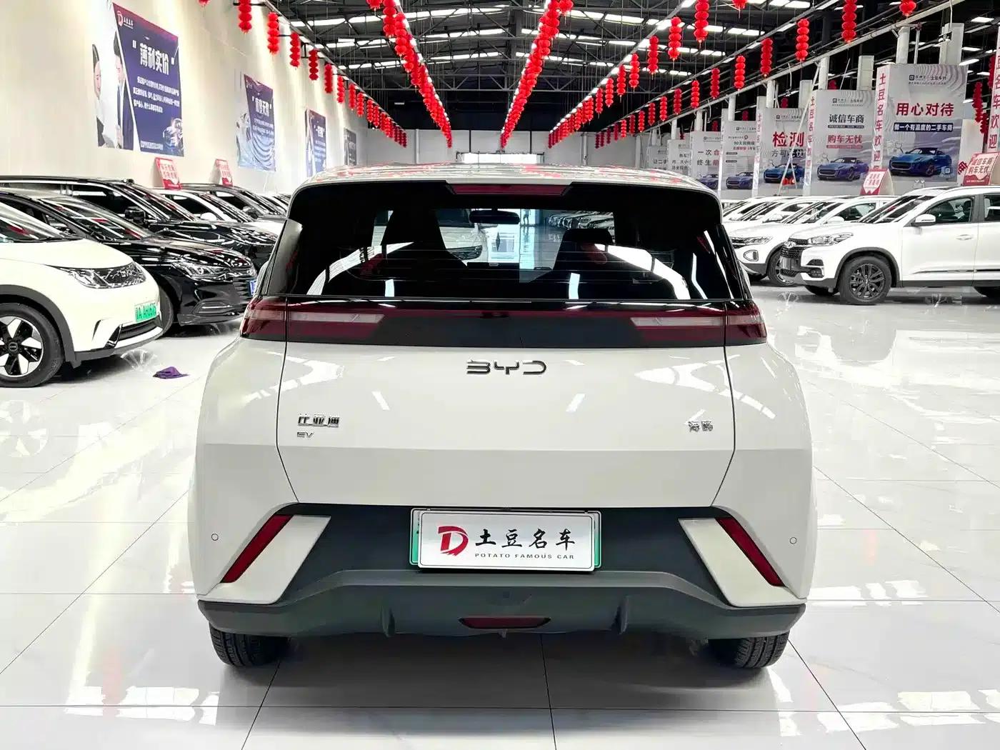 Seagull 2025 305km/h Dynamic Edition — миниатюра 5