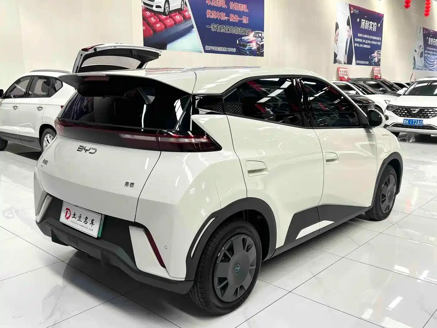 Seagull 2025 305km/h Dynamic Edition — миниатюра 6