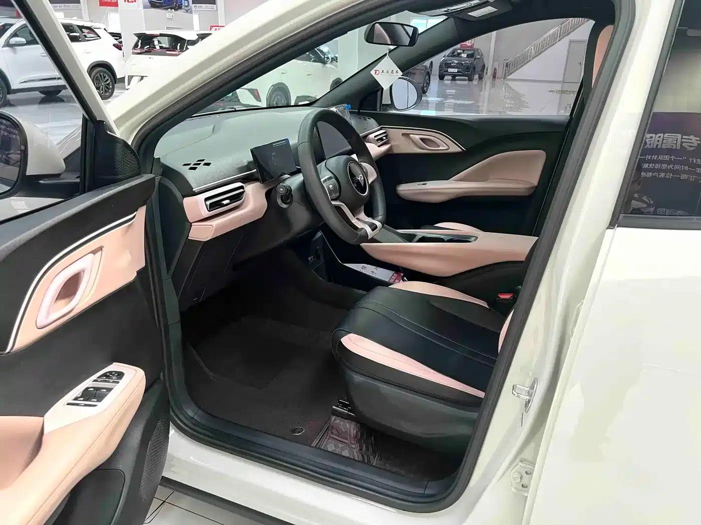 Seagull 2025 305km/h Dynamic Edition — миниатюра 7