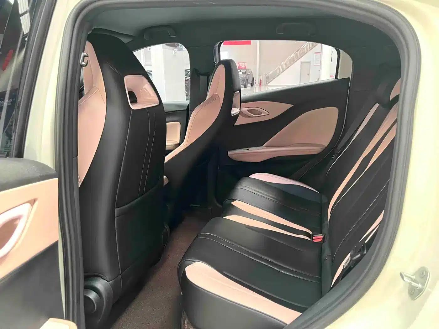 Seagull 2025 305km/h Dynamic Edition — миниатюра 10
