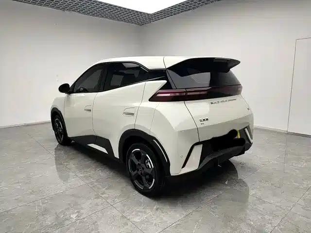 Seagull 2023 Freedom Edition — миниатюра 2
