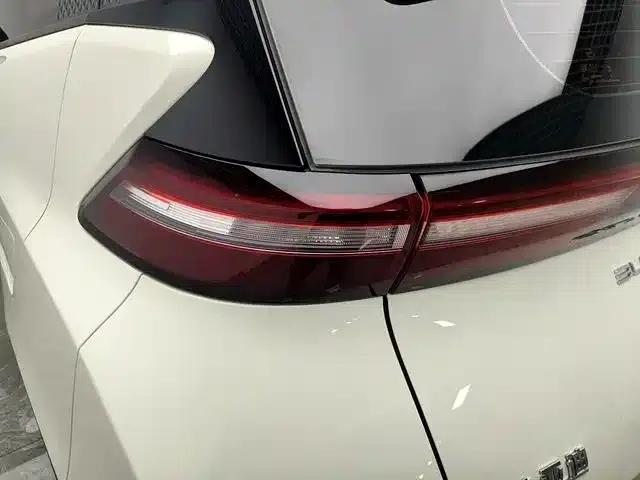 Seagull 2023 Freedom Edition — миниатюра 11