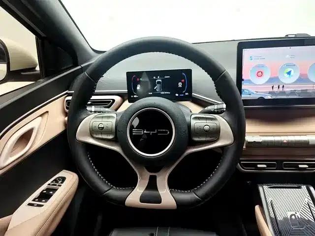 Seagull 2023 Freedom Edition — миниатюра 12