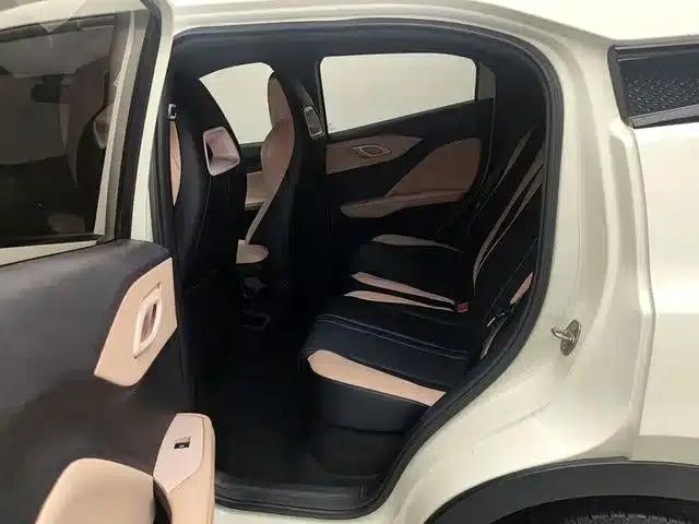 Seagull 2023 Freedom Edition — миниатюра 14