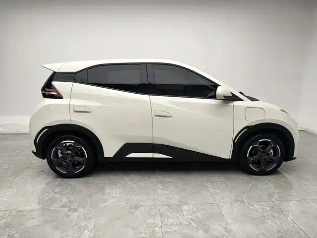 Seagull 2023 Freedom Edition — миниатюра 16