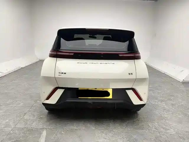 Seagull 2023 Freedom Edition — миниатюра 3