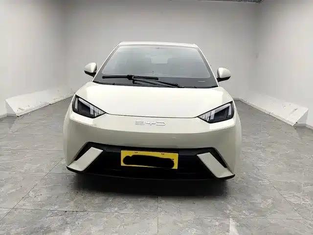 Seagull 2023 Freedom Edition — миниатюра 4