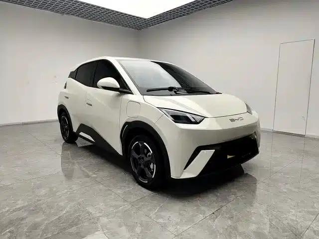 Seagull 2023 Freedom Edition — миниатюра 5