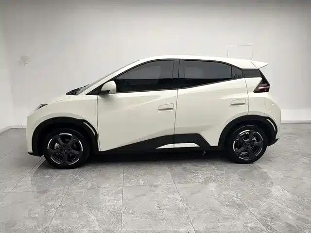 Seagull 2023 Freedom Edition — миниатюра 6