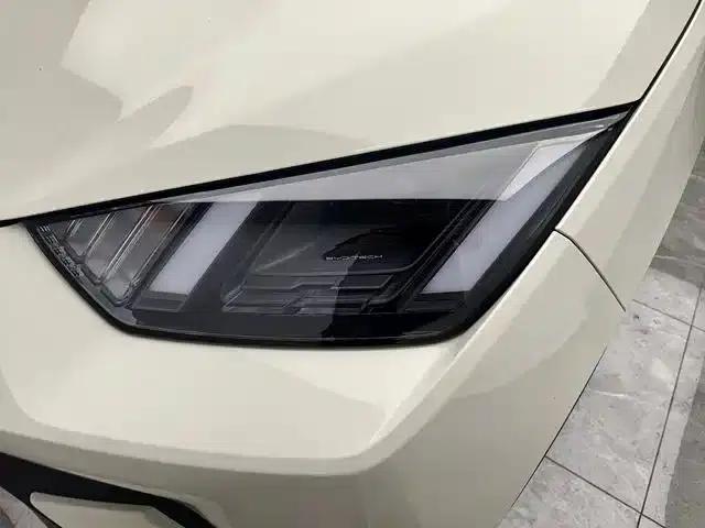 Seagull 2023 Freedom Edition — миниатюра 10