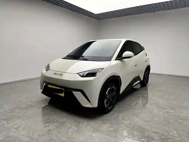 Seagull 2023 Freedom Edition
