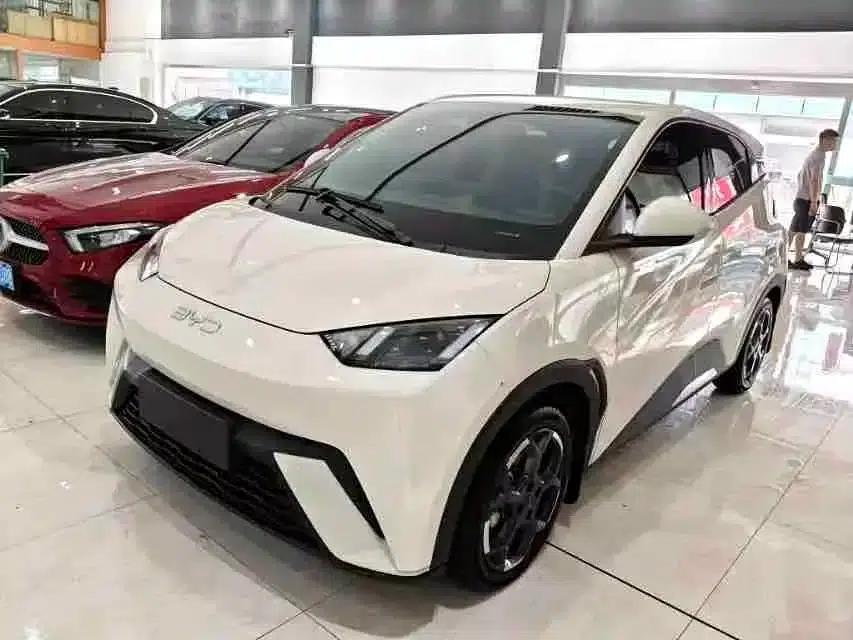 Seagull 2024 Glory Edition 405km/h Flying Edition — миниатюра 1