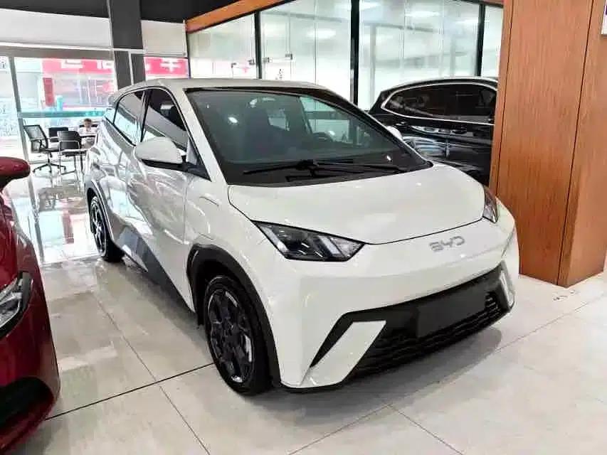 Seagull 2024 Glory Edition 405km/h Flying Edition — миниатюра 3
