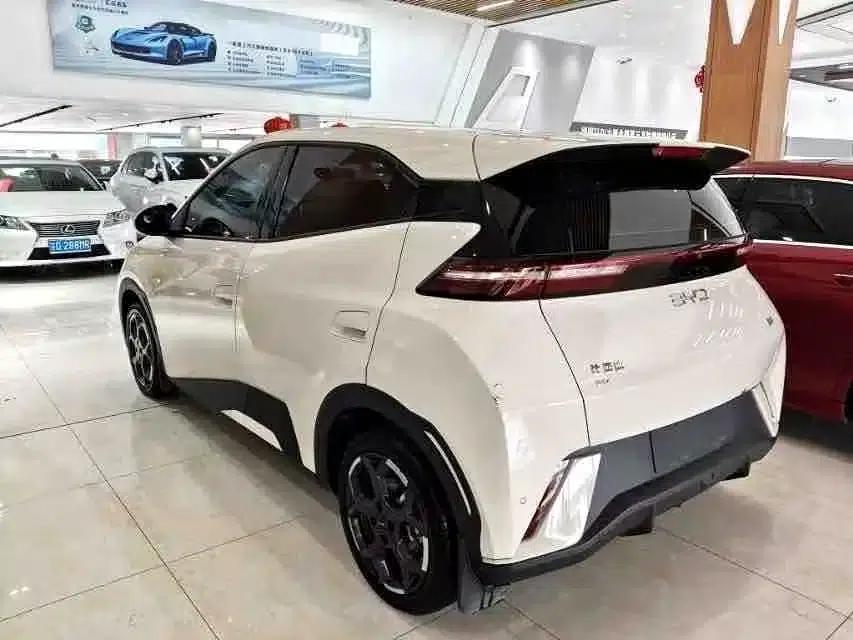 Seagull 2024 Glory Edition 405km/h Flying Edition — миниатюра 4