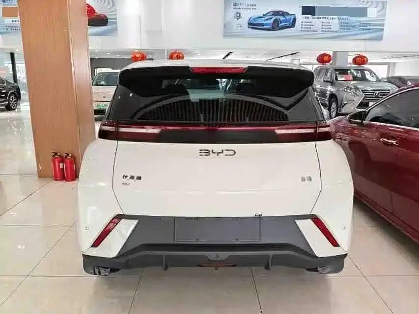 Seagull 2024 Glory Edition 405km/h Flying Edition — миниатюра 5