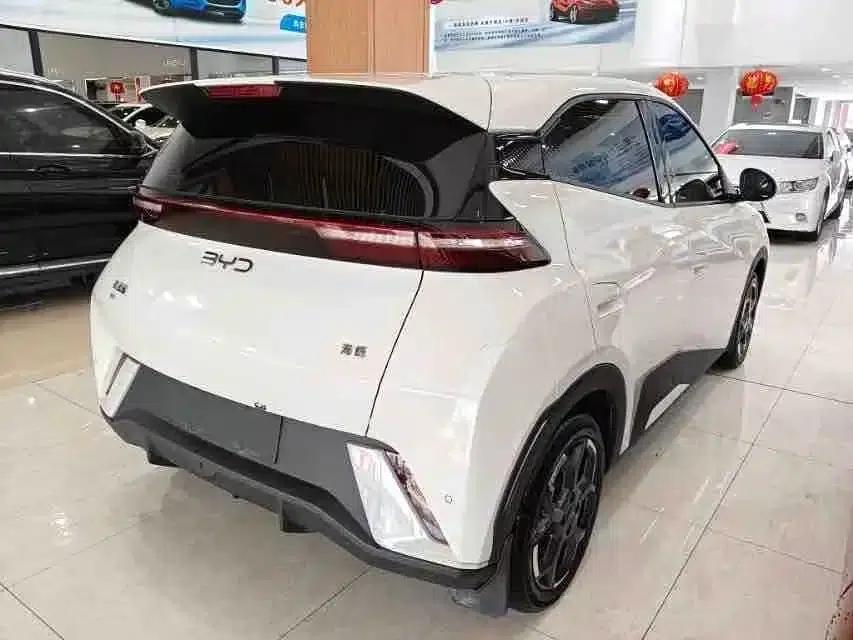 Seagull 2024 Glory Edition 405km/h Flying Edition — миниатюра 6