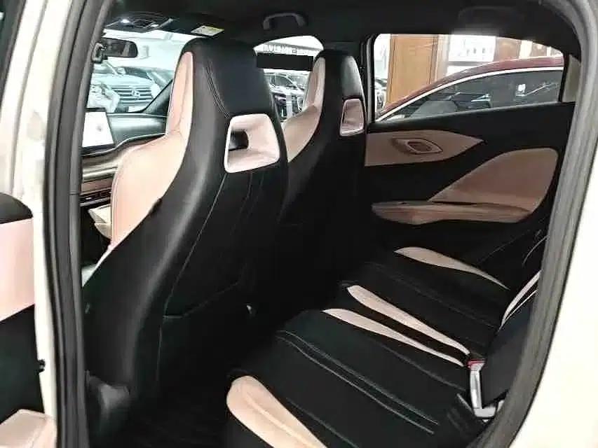 Seagull 2024 Glory Edition 405km/h Flying Edition — миниатюра 8