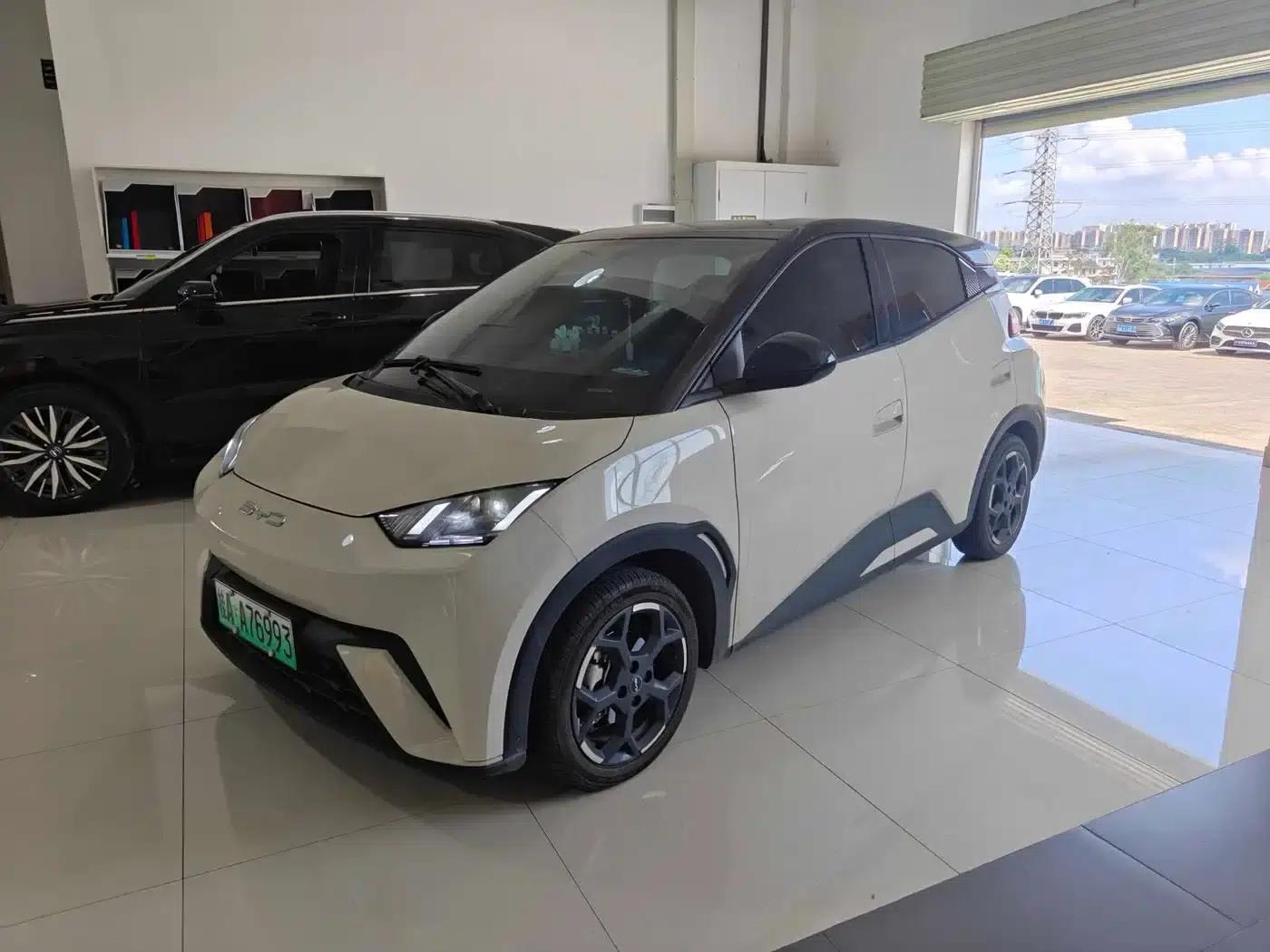 Seagull 2024 Glory Edition 405km/h Flying Edition — миниатюра 1