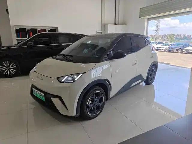 Seagull 2024 Glory Edition 405km/h Flying Edition