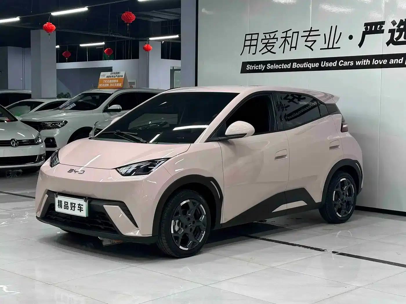 Seagull 2025 305km Freedom Edition — миниатюра 1