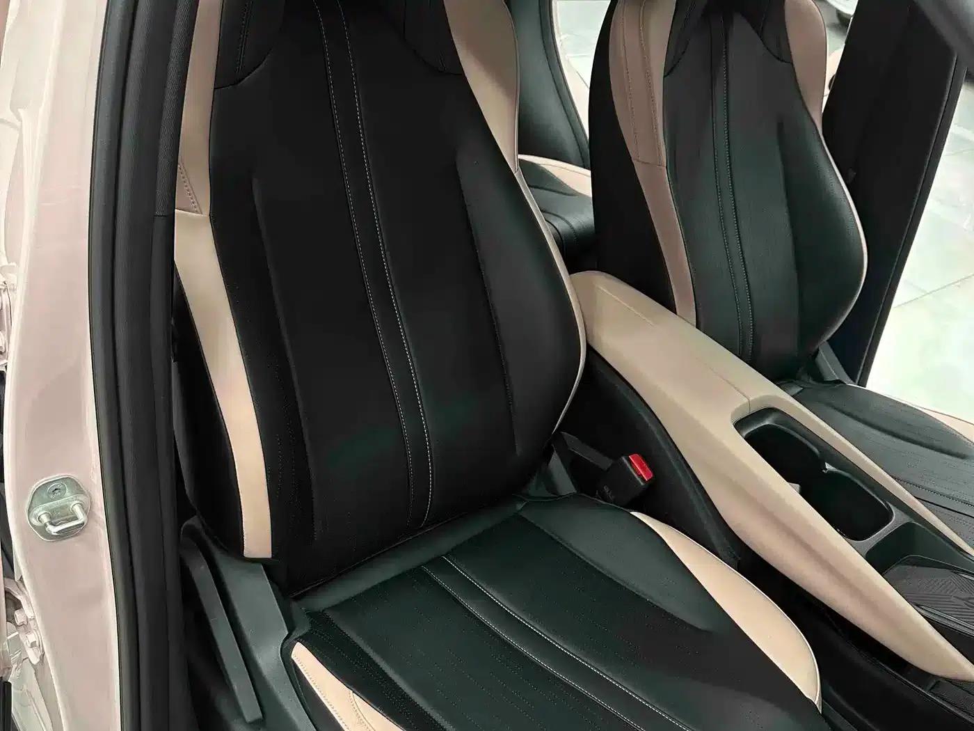 Seagull 2025 305km Freedom Edition — миниатюра 11
