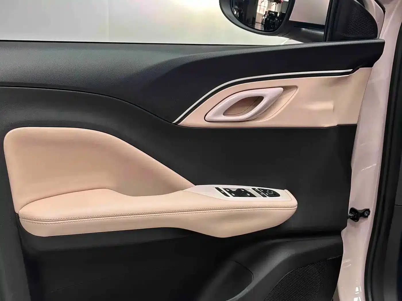 Seagull 2025 305km Freedom Edition — миниатюра 13