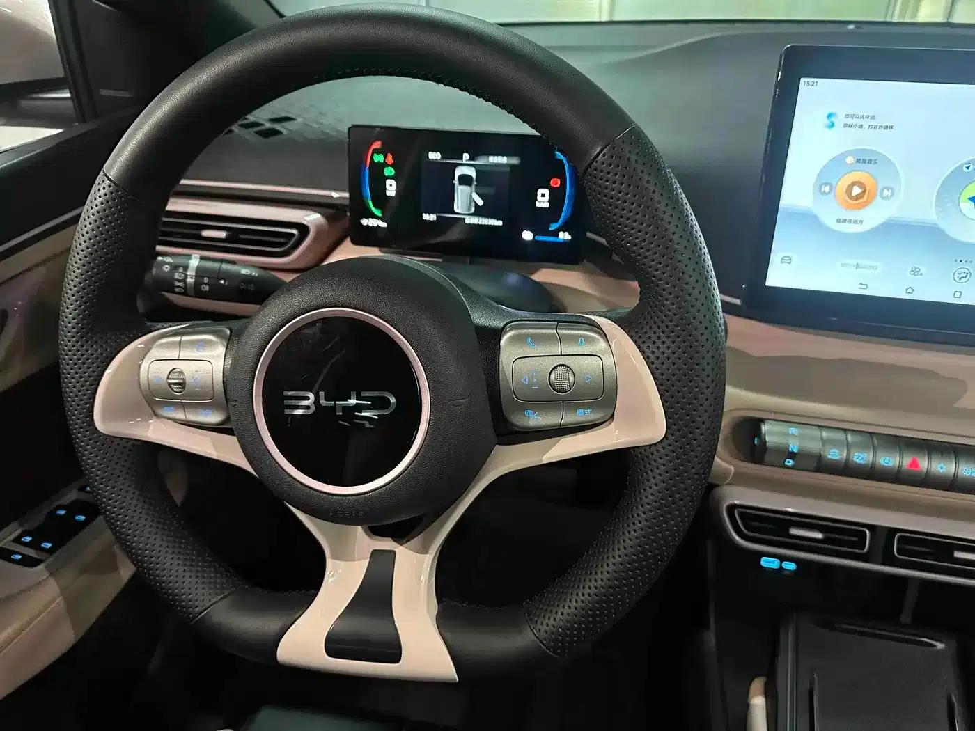 Seagull 2025 305km Freedom Edition — миниатюра 14
