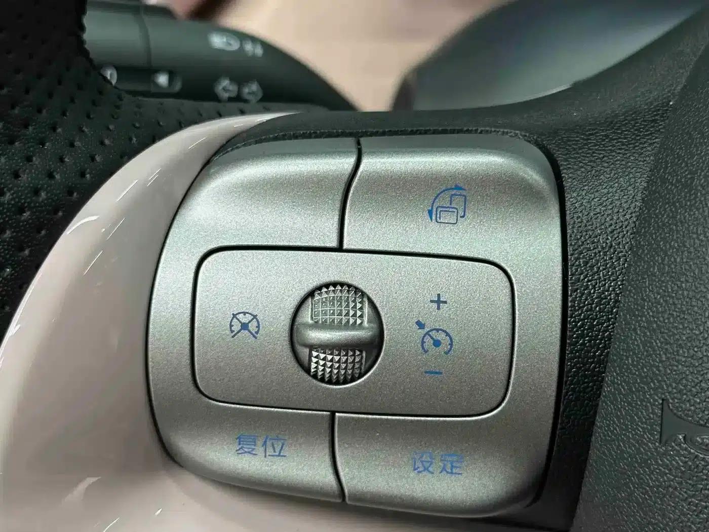 Seagull 2025 305km Freedom Edition — миниатюра 16