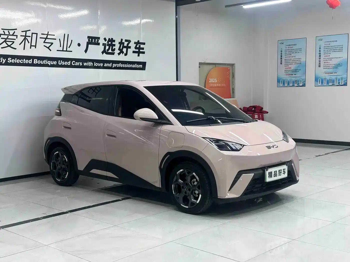 Seagull 2025 305km Freedom Edition — миниатюра 3
