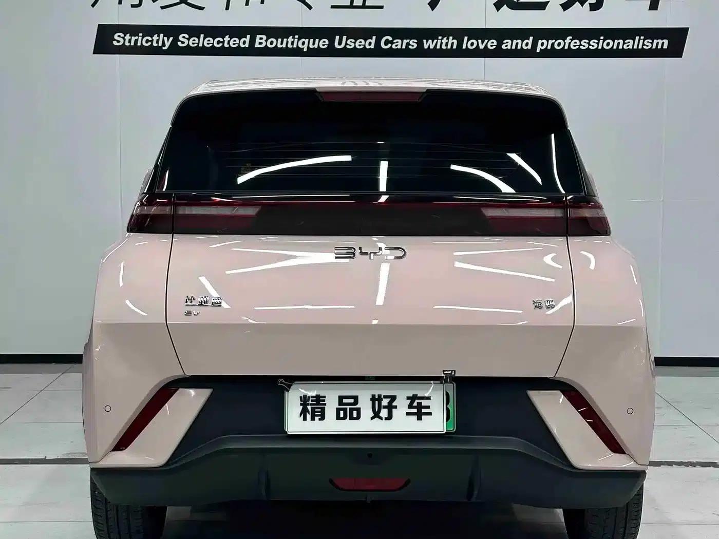 Seagull 2025 305km Freedom Edition — миниатюра 4