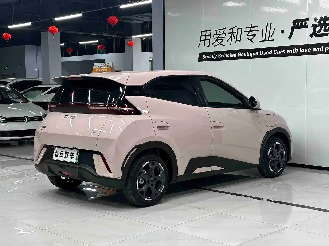 Seagull 2025 305km Freedom Edition — миниатюра 5