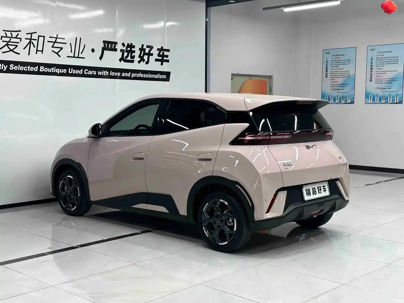 Seagull 2025 305km Freedom Edition — миниатюра 6