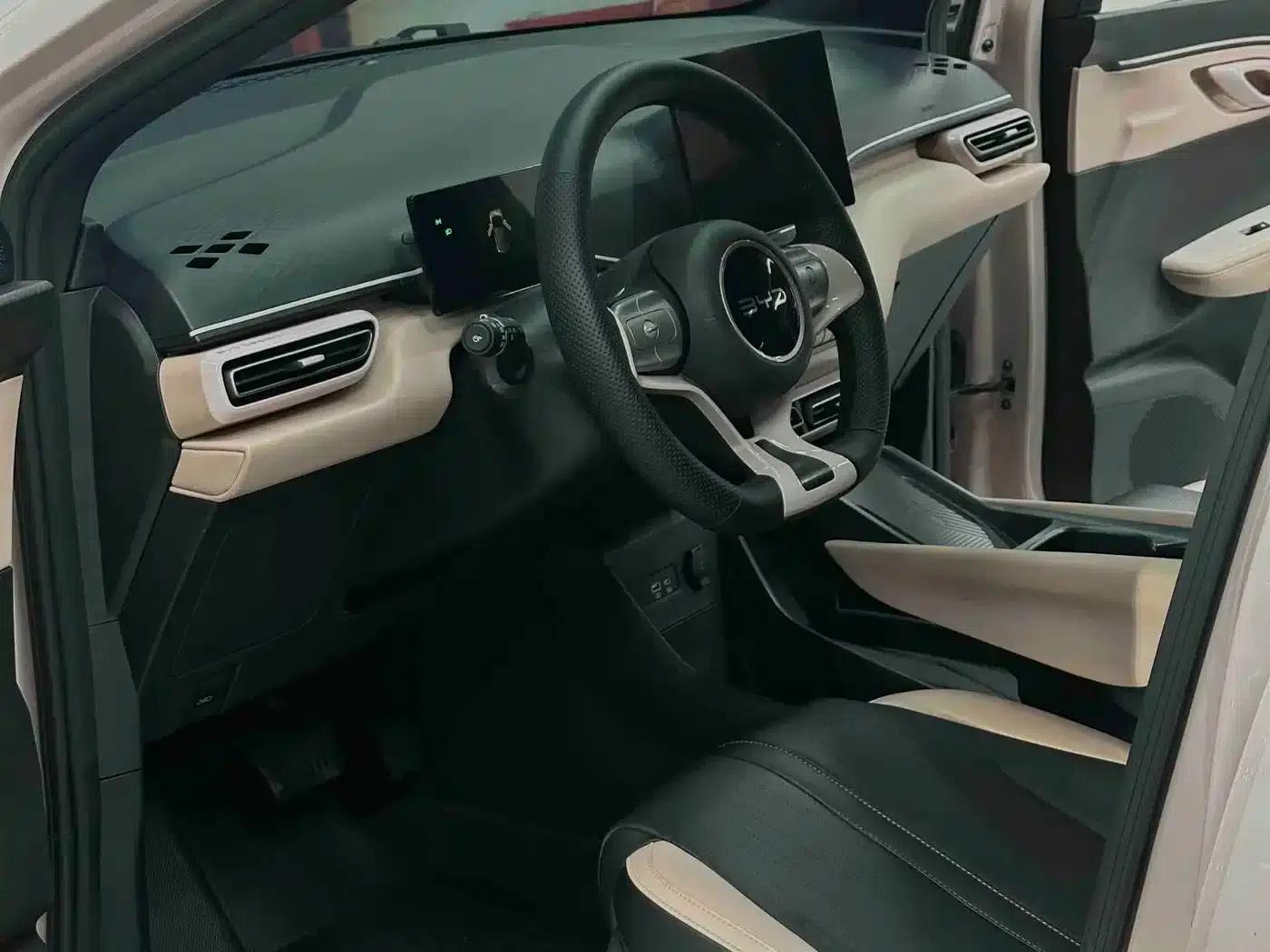 Seagull 2025 305km Freedom Edition — миниатюра 7