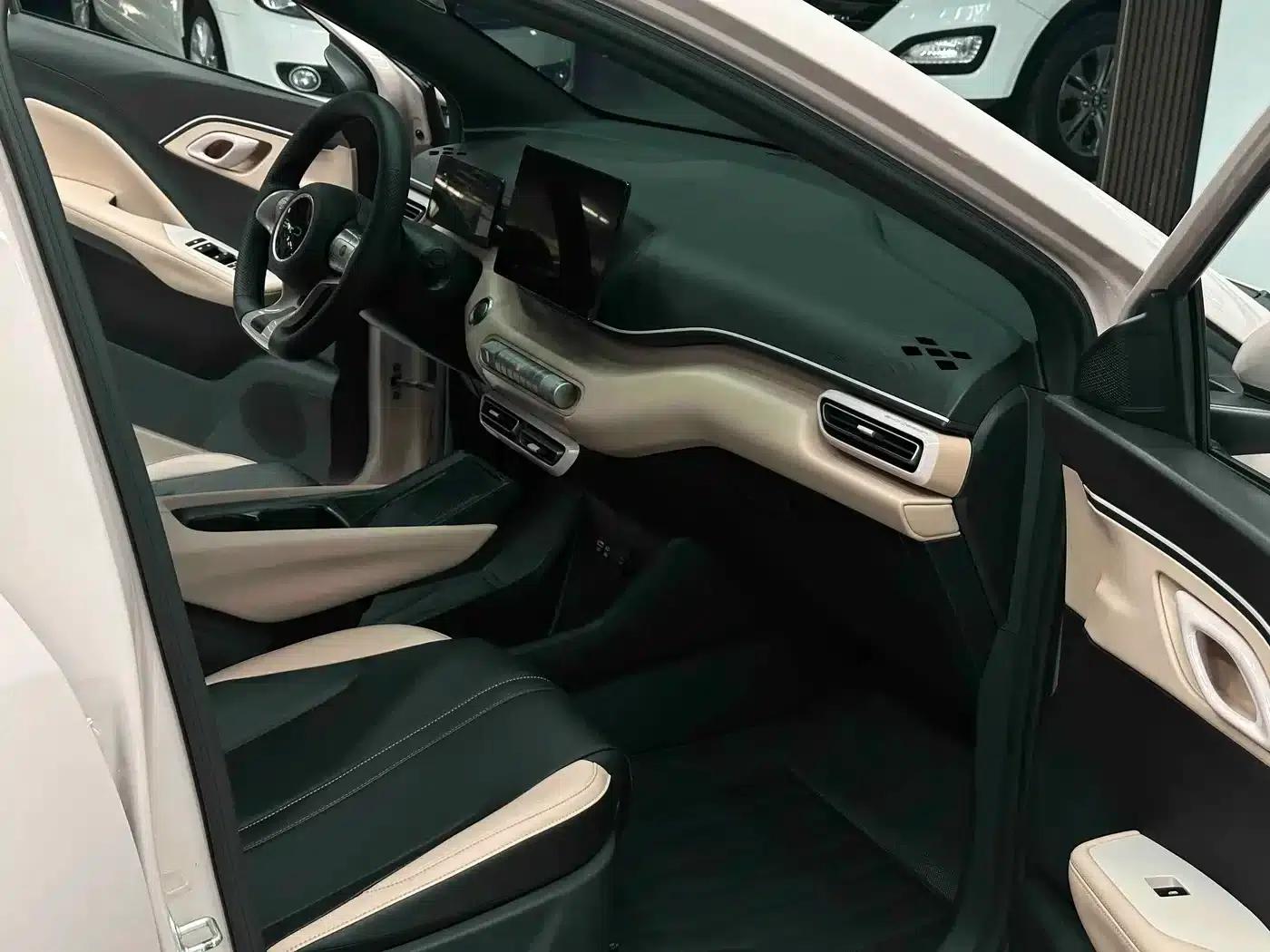 Seagull 2025 305km Freedom Edition — миниатюра 8