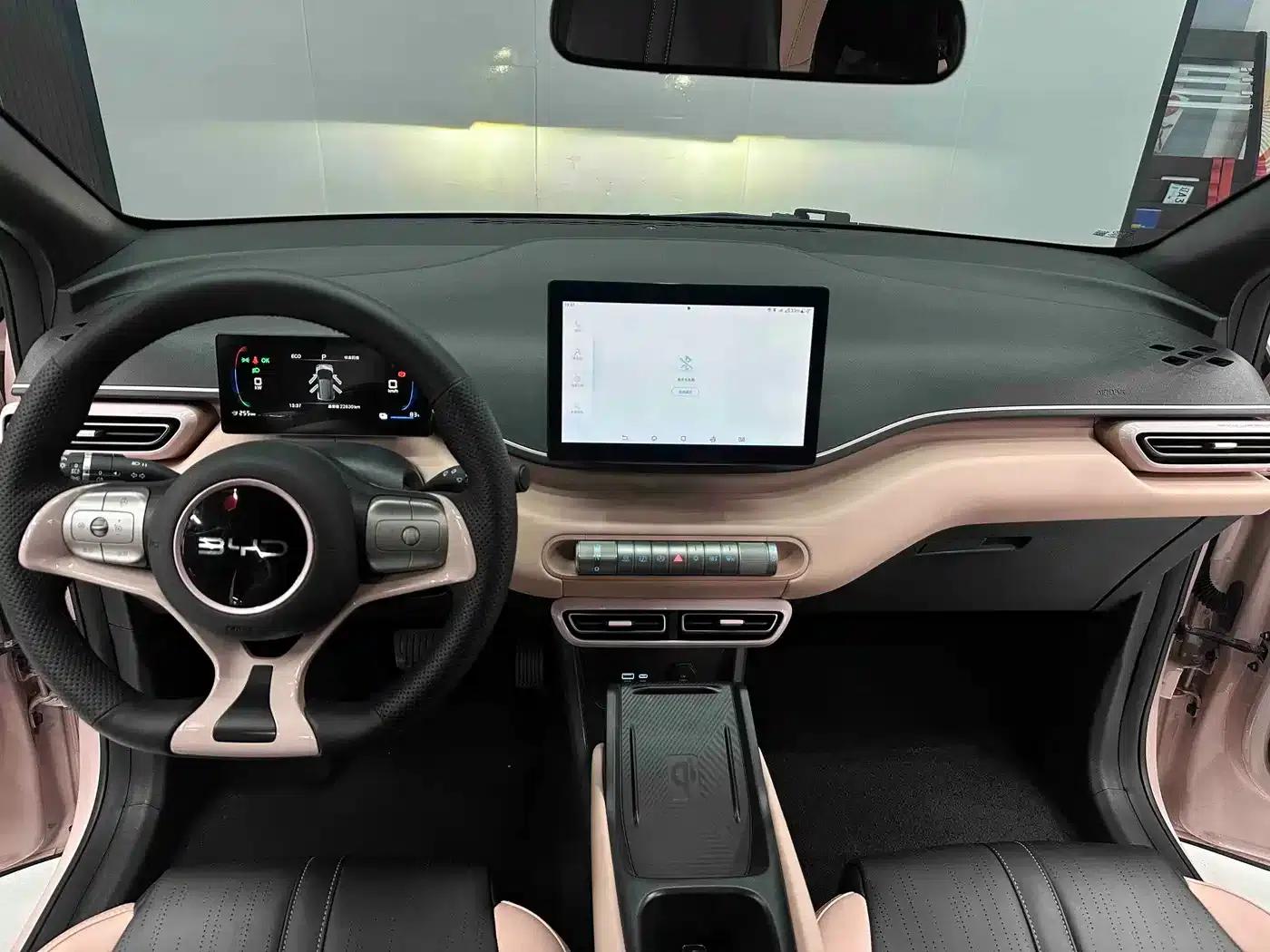 Seagull 2025 305km Freedom Edition — миниатюра 9