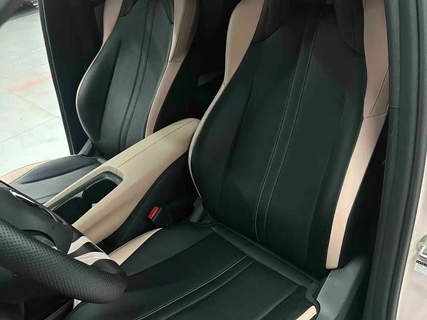 Seagull 2025 305km Freedom Edition — миниатюра 10