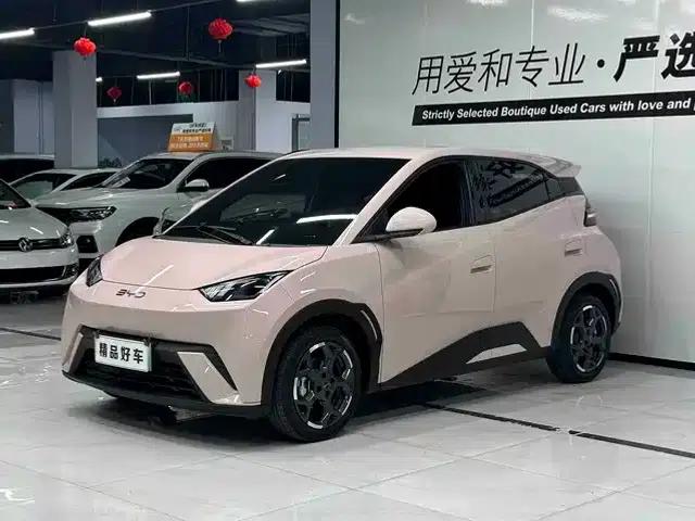 Seagull 2025 305km Freedom Edition
