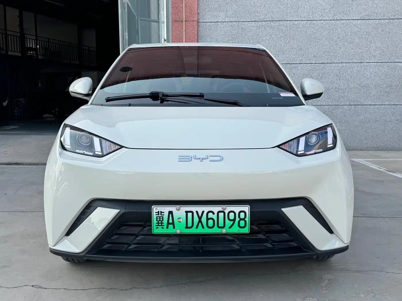 Seagull 2024 Glory Edition 305km Freedom Edition — миниатюра 2