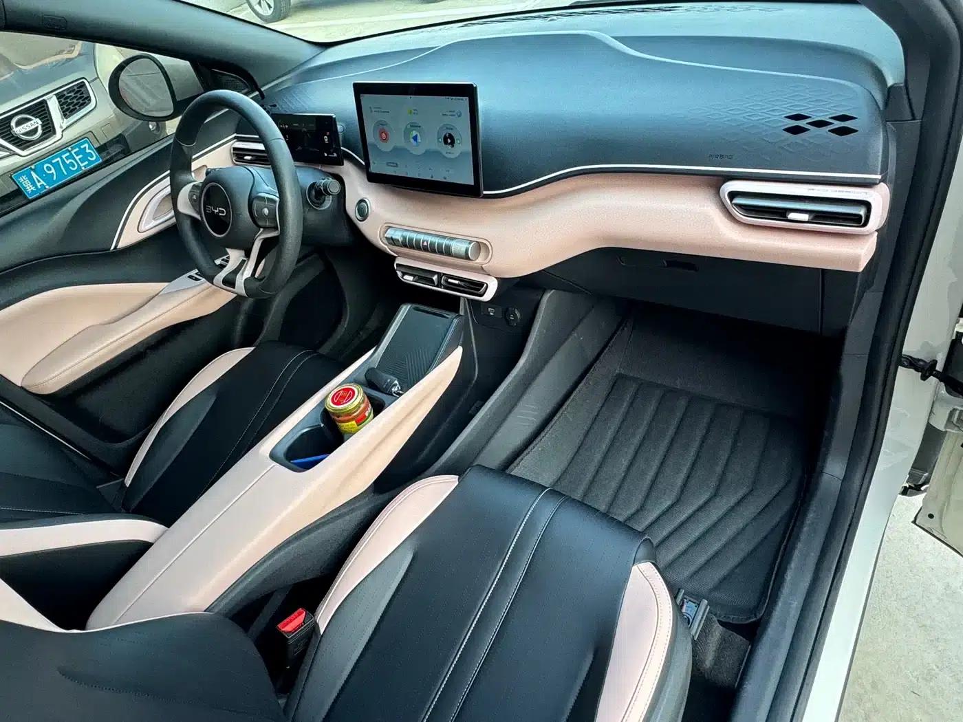 Seagull 2024 Glory Edition 305km Freedom Edition — миниатюра 11