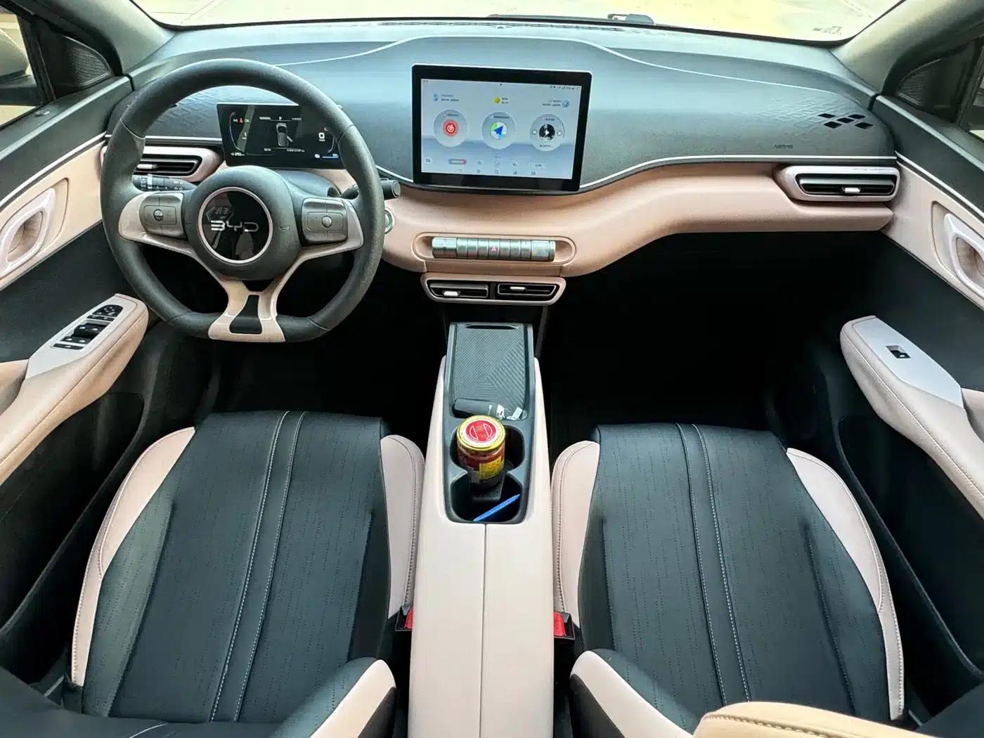 Seagull 2024 Glory Edition 305km Freedom Edition — миниатюра 12