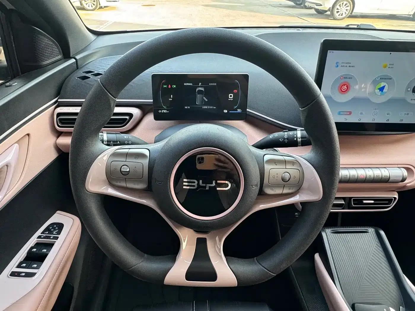 Seagull 2024 Glory Edition 305km Freedom Edition — миниатюра 13