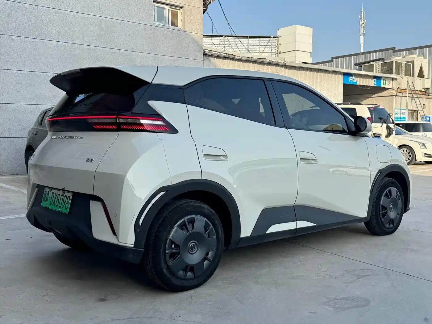 Seagull 2024 Glory Edition 305km Freedom Edition — миниатюра 4